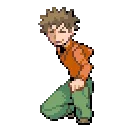 Brock Infinite Fusion